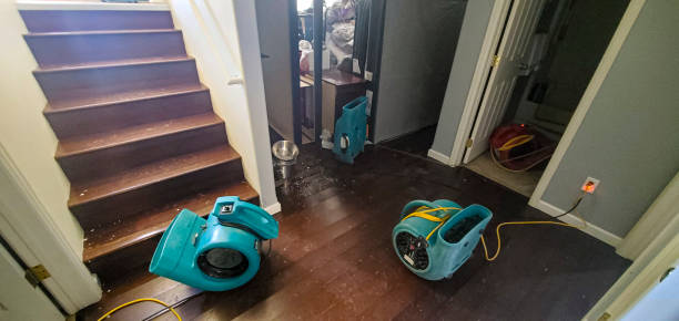 Best Flood damage cleanup  in Iroquois Point, HI