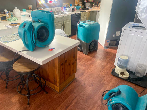 Best Fire Damage Restoration  in Iroquois Point, HI