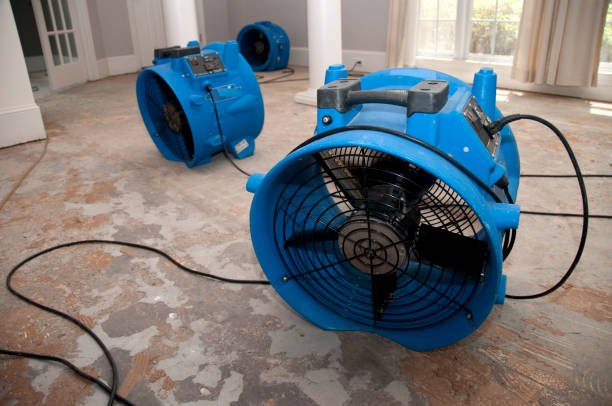 Best Residential water damage restoration  in Iroquois Point, HI