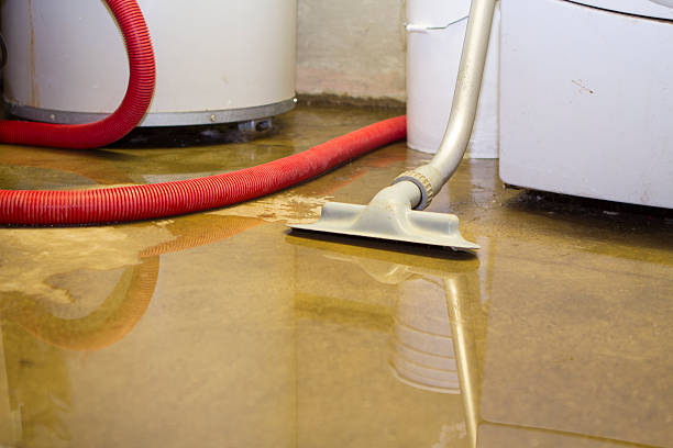 Best Mold removal after water damage  in Iroquois Point, HI