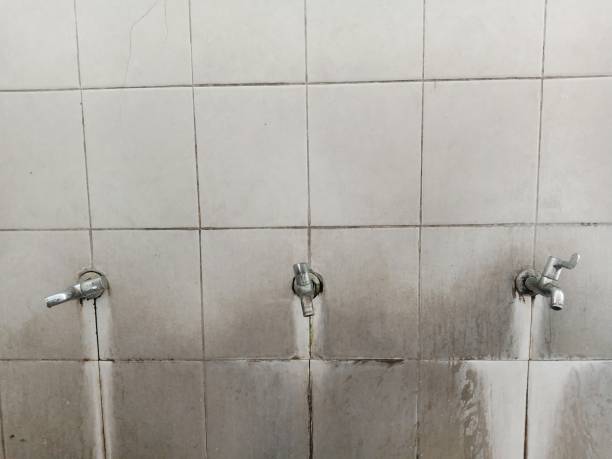 Best Flood damage cleanup  in Iroquois Point, HI