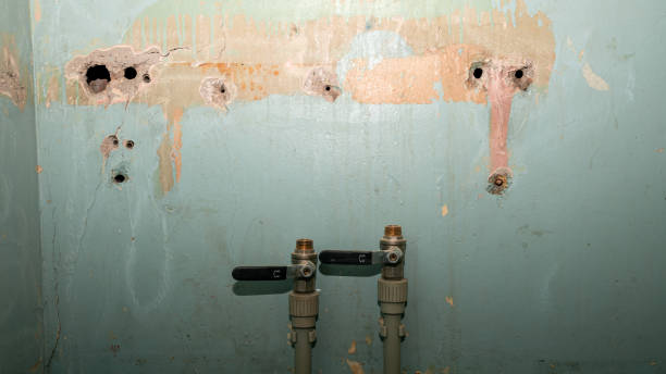 Best 24-hour water damage restoration  in Iroquois Point, HI