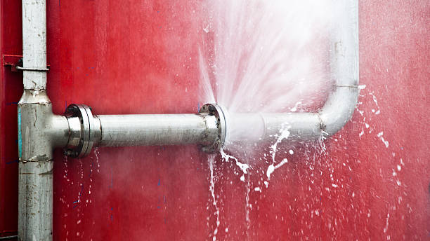 Best Basement water damage restoration  in Iroquois Point, HI